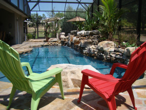 Natural pool design