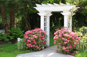 Custom Landscaping