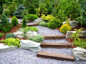 lanscaping with Rocks