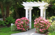 Pergola White and Flowers