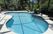 Freeform Pool with Ladder Steps and Bench