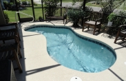 Freeform-pool-with-screen-enclosure