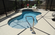Freeform Pool with Steps and Screen Enclosure