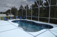 Freeform Pool with Tanning Ledge and Tile Design