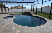 Natural Freeform Pool