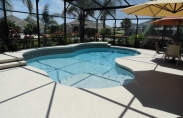 Freeform Pool with Tanning Ledge