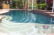 Indoor Pool with Greenery and Steps