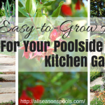 Easy to Grow Herbs