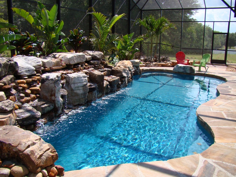  Low Maintenance Landscaping Ideas For Enclosed Pool Areas All Seasons Pools Pool Builder Central Florida Surrounding Areas - Potted Plants Around Pool In Florida